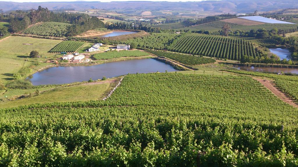Paul Wallace Wines&Cottages Elgin  Extérieur photo