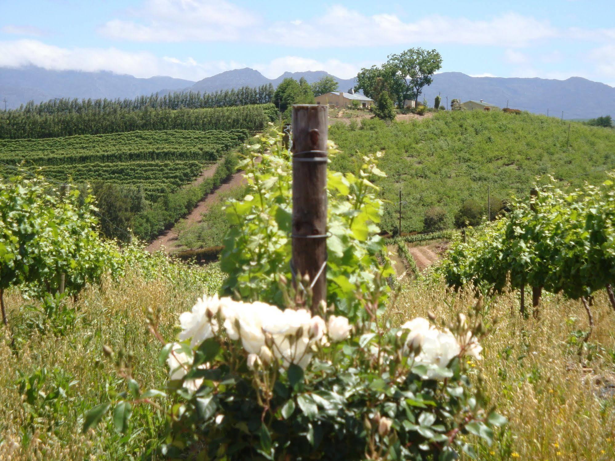 Paul Wallace Wines&Cottages Elgin  Extérieur photo